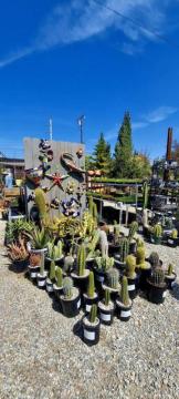 Discover Glendora Gardens Nursery