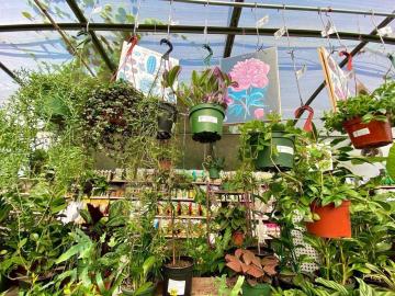 Discover Glendora Gardens Nursery