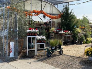 Discover Glendora Gardens Nursery